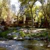 Junipine Resort