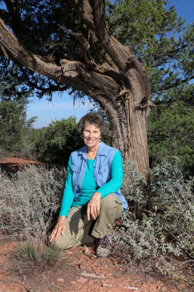Sacred Earth Walks