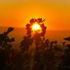 Verde Valley Wine Trail