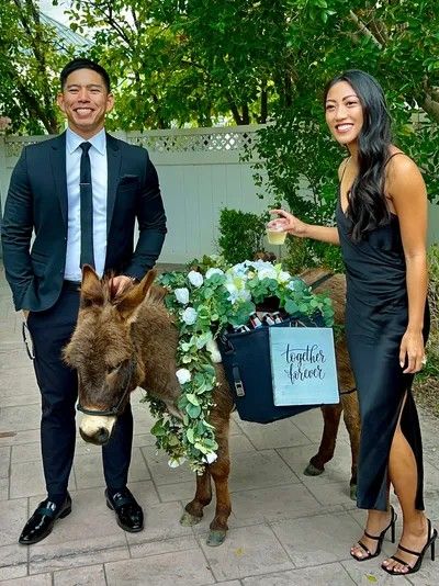 AZ Party Animals