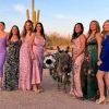 AZ Party Animals