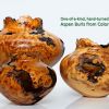 Environmental Realists