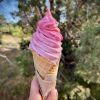 The Cheeky Kiwi Ice Cream Company