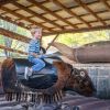 Blazin' M Ranch Western Dinner Theater