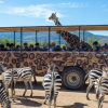 Out of Africa Wildlife Park