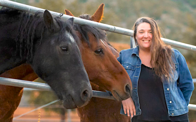 Equine Guidance ®
