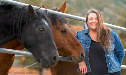 Equine Guidance ®