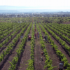 Verde Valley Wine Trail