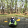Water to Wine Tours